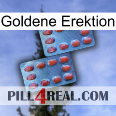 Golden Erection 05